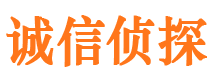 潘集市调查公司